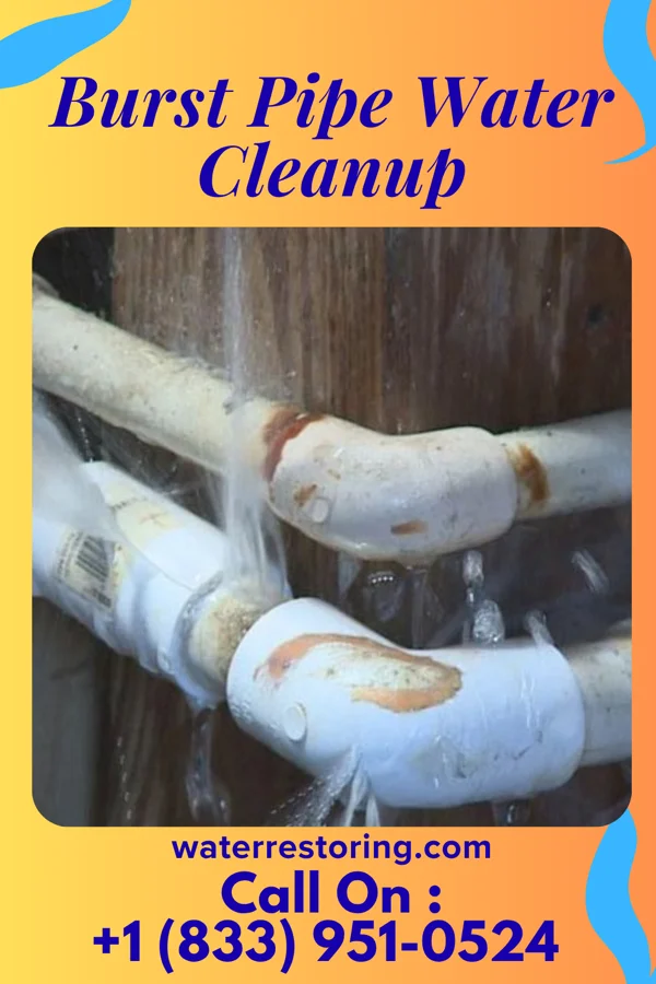 Burst Pipe Water Cleanup in Nesco, NJ