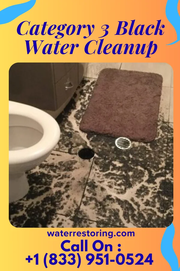 Category 3 Black Water Cleanup in Nesco, NJ