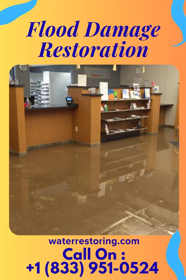 Flood Damage Restoration in Nesco, NJ