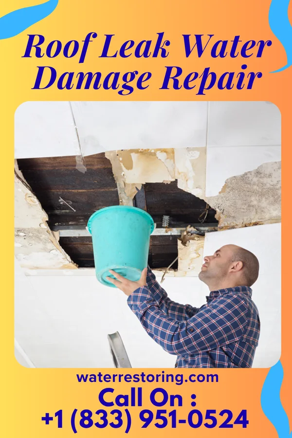 Roof Leak Water Damage Repair in Nesco, NJ