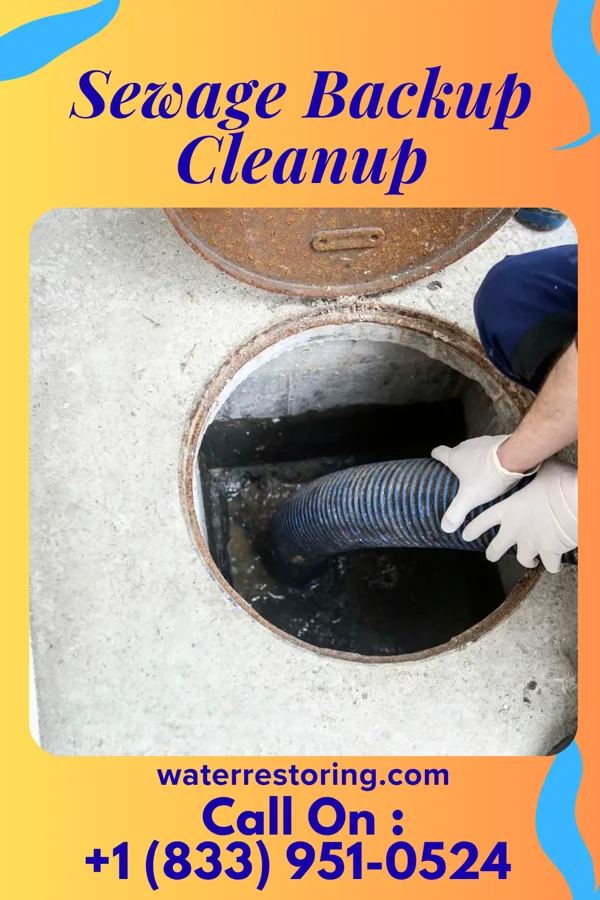 Sewage Backup Cleanup in Nesco, NJ