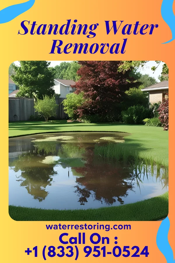Standing Water Removal in Nesco, NJ